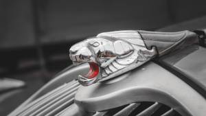 Mahefasoa PINEAU - LAED Compagnie